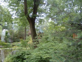 Harald Köster, Bochum, Germany, CC BY-SA 2.5 <https://creativecommons.org/licenses/by-sa/2.5>, via Wikimedia Commons